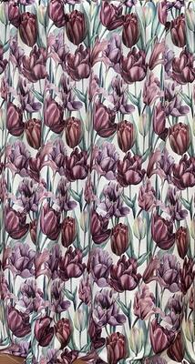 Tulip Lila