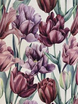 Tulip Lila