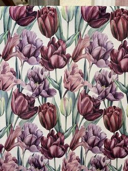 Tulip Lila